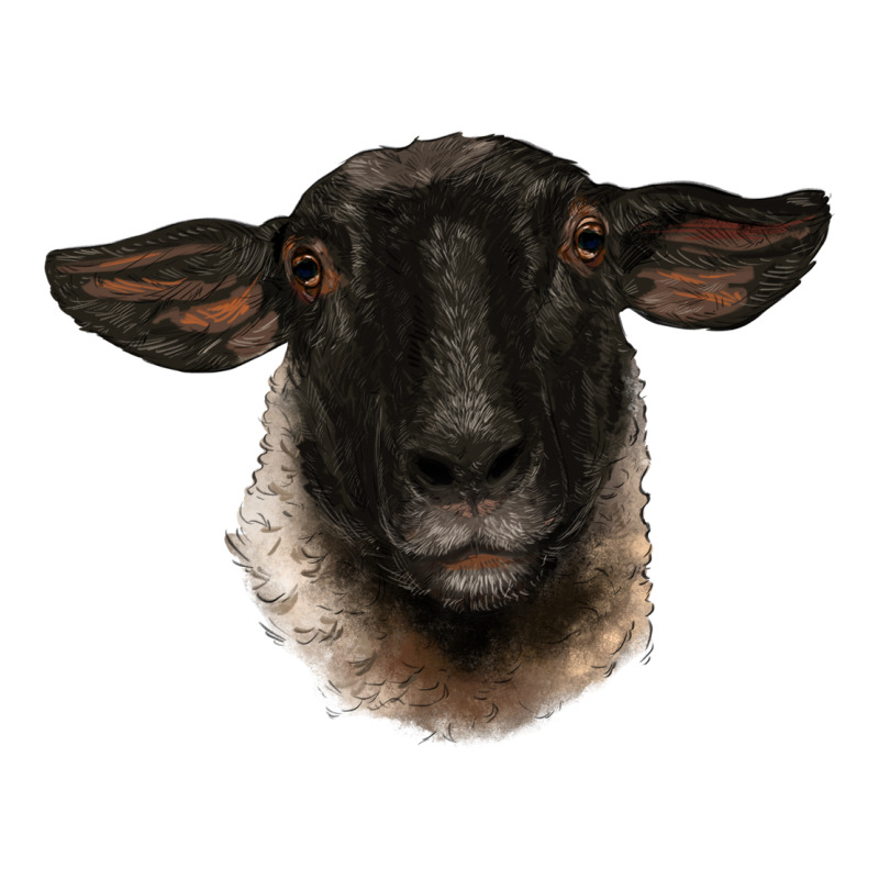 Suffolk Ewe Head Ladies Tee by BarkalooDesign | Teevron