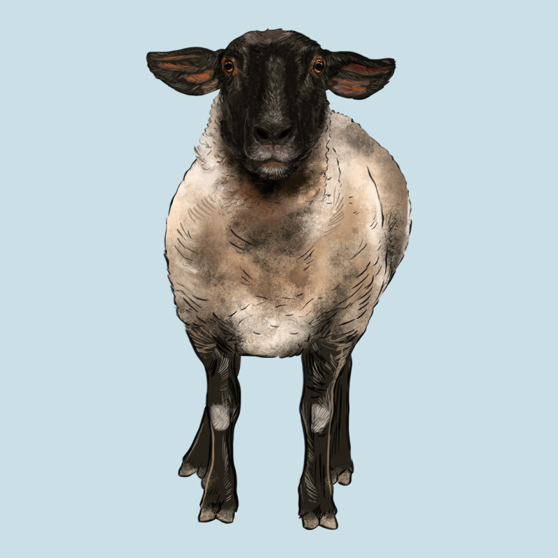 Suffolk Ewe Front Ladies Tee by BarkalooDesign | Teevron