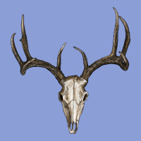 Deer Skull Long Sleeve Tee | Teevron