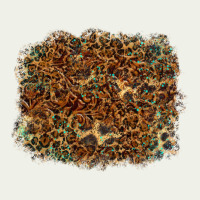 Leopard Tooled Leather Turquoise Urban Heavy Tee | Teevron