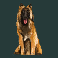 Belgian Shepherd Tervuren Premium Sweatshirt | Teevron