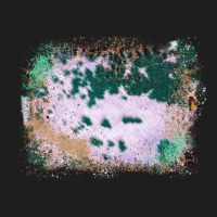 Western Green Cowhide Frame Heavyweight Hoodie | Teevron