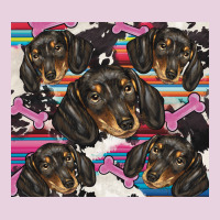 Dachshund Ladies Tee | Teevron