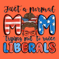 Just A Normal Mom Trying Not To Raise Liberals Premium Hoodie | Teevron