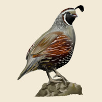 California Quail Bird Premium Hoodie | Teevron