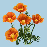 California Poppy Flower Premium Hoodie | Teevron