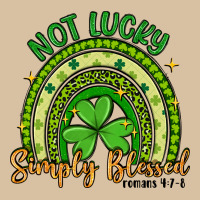 Not Lucky Simply Blessed Rainbow Heavyweight Hoodie | Teevron