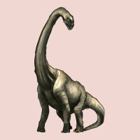 Brachiosaurus Premium Sweatshirt | Teevron