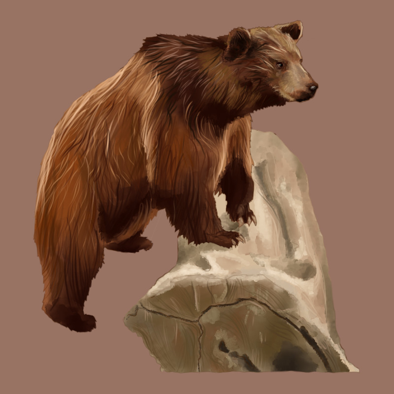 California Grizzly Bear Premium Hoodie by RanaPortraitStore | Teevron