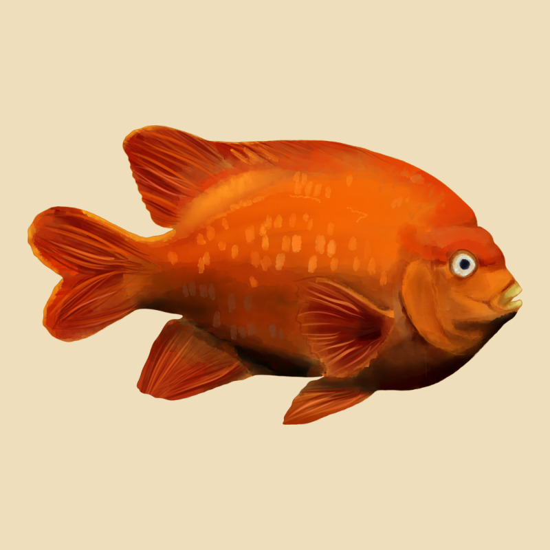 California Garibaldi Fish Premium Hoodie by RanaPortraitStore | Teevron