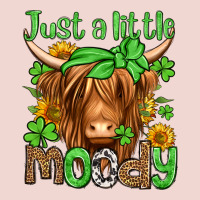 Just A Little Moody St Patricks Day Premium Sweatshirt | Teevron