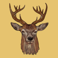 Deer Premium Sweatshirt | Teevron