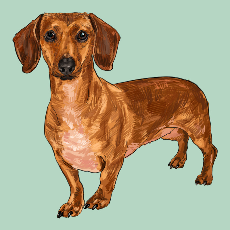 Dachshund Classic Tee by RanaPortraitStore | Teevron