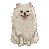 white pomeranian | Teevron
