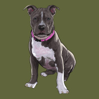 Pitbull Classic Tee | Teevron