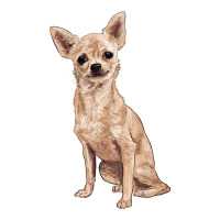 chihuahua | Teevron