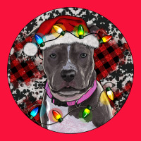 Pitbull And Buffalo Plaid Classic Tee | Teevron
