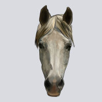 Horse Head Zipper Hoodie | Teevron