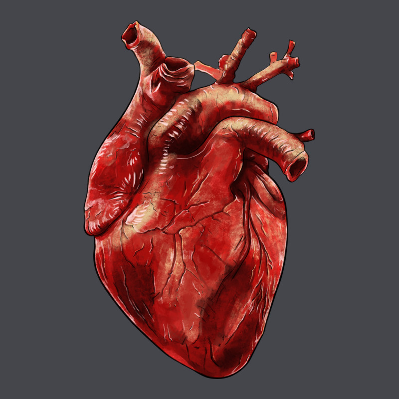 Anatomical Heart Long Sleeve Tee by RanaPortraitStore | Teevron