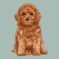 Toy Poodle Classic Tee | Teevron