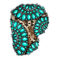 gemstone cowhide patches | Teevron