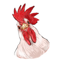 silly chicken head | Teevron