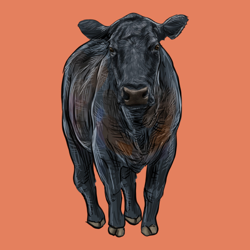 Black Angus Cattle Classic Tee by RanaPortraitStore | Teevron