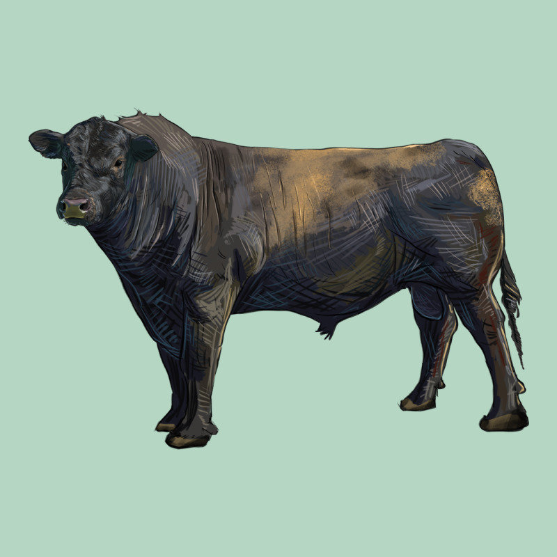 Black Angus Bull Classic Tee by RanaPortraitStore | Teevron