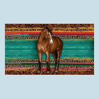 Western Horse Serape Tooled Leather Leopard  Sippy Cup Ladies Tee | Teevron