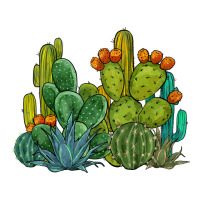watercolor cactus | Teevron