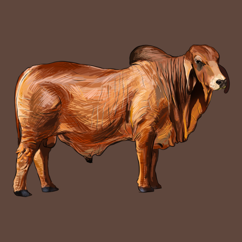 Brahman Bull Classic Tee by RanaPortraitStore | Teevron
