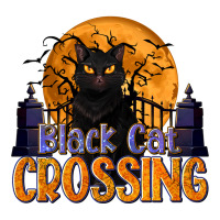 Black Cat Crossing | Teevron