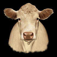 Charolais Premium Sweatshirt | Teevron