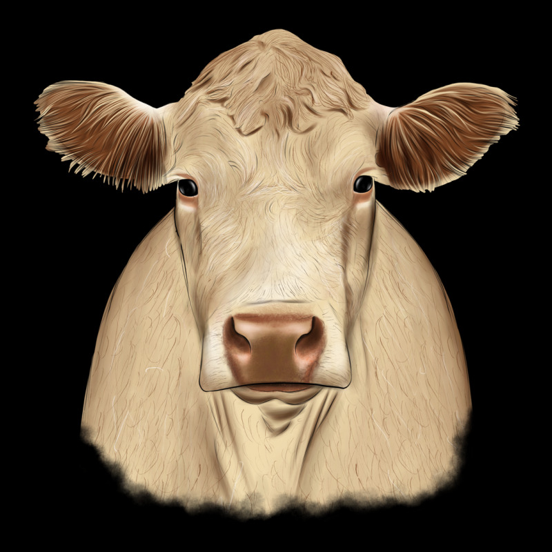 Charolais Premium Sweatshirt by JahusDesignShop | Teevron