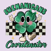 Shenanigans Coordinator Premium Hoodie | Teevron