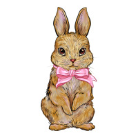 Easter rabbit | Teevron