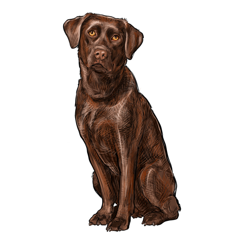 Labrador Retriever Zipper Hoodie by RanaPortraitStore | Teevron
