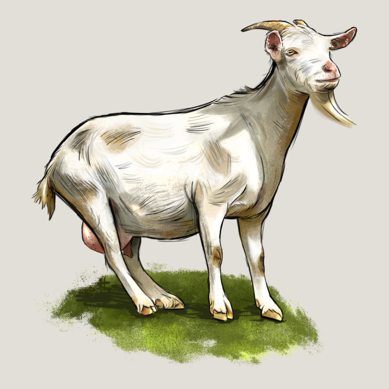 Cashmere Goat Heavy Core Tee by LillyAllenDesigns | Teevron