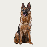 German Shepherd Zipper Hoodie | Teevron