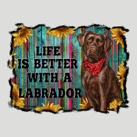 Life Is Better With A Labrador Zipper Hoodie | Teevron