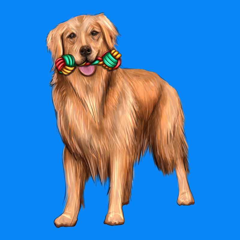 Golden Retriever With Toys Zipper Hoodie by texasbilliewilder | Teevron