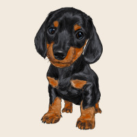 Dachshund Puppy Zipper Hoodie | Teevron