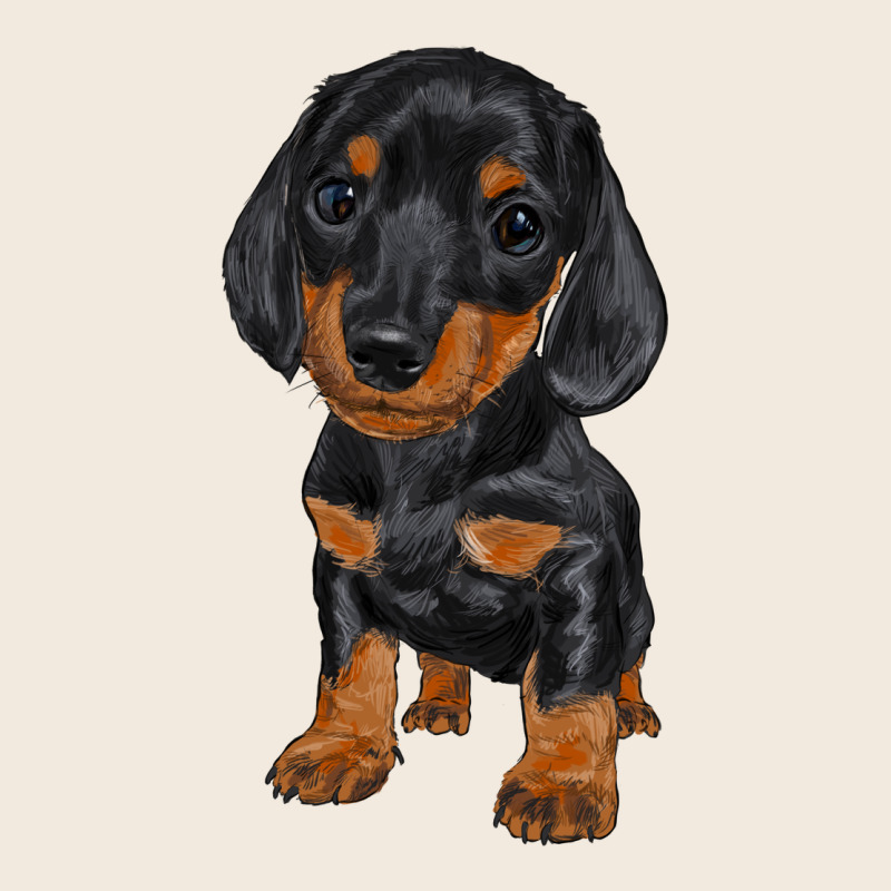 Dachshund Puppy Zipper Hoodie by RanaPortraitStore | Teevron
