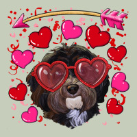 Valentine's Day Havanese Dog Long Sleeve Tee | Teevron