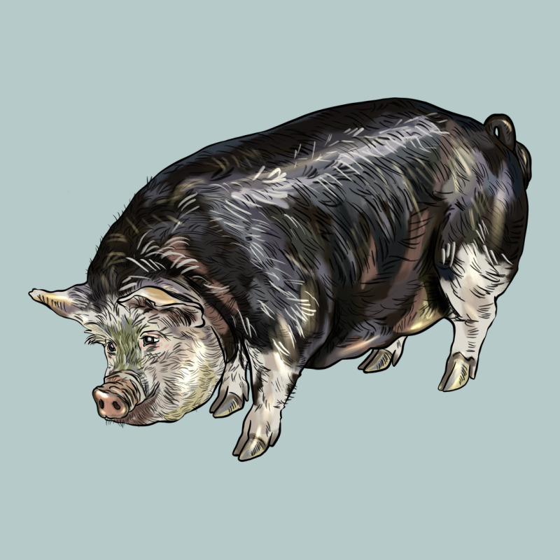 Poland China Pig Heavy Core Tee by LillyAllenDesigns | Teevron