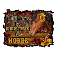 all i want for christmas is a horse brown horse | Teevron