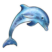 dolphin | Teevron