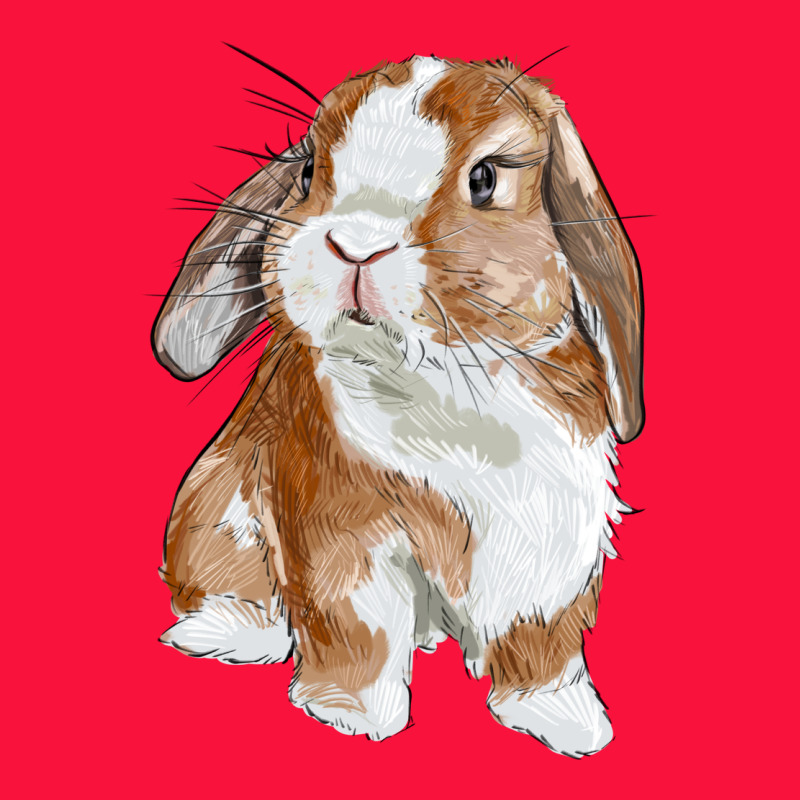 Cute Bunny Classic Tee by RanaPortraitStore | Teevron