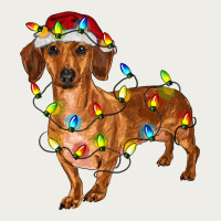 Dachshund With Christmas Lights Zipper Hoodie | Teevron