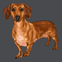 Dachshund Zipper Hoodie | Teevron
